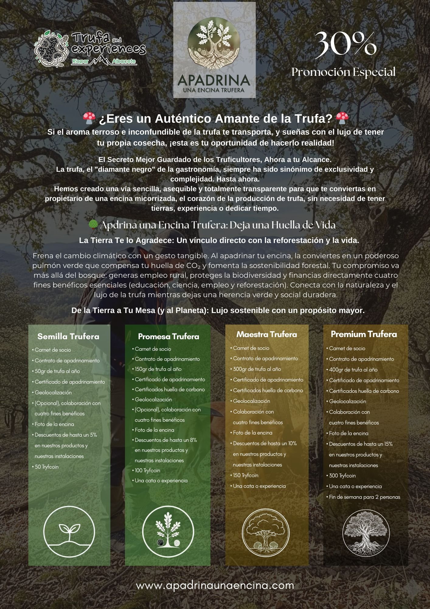 Sala de catas de trufa negra y experiencias gastronómicas en Riópar