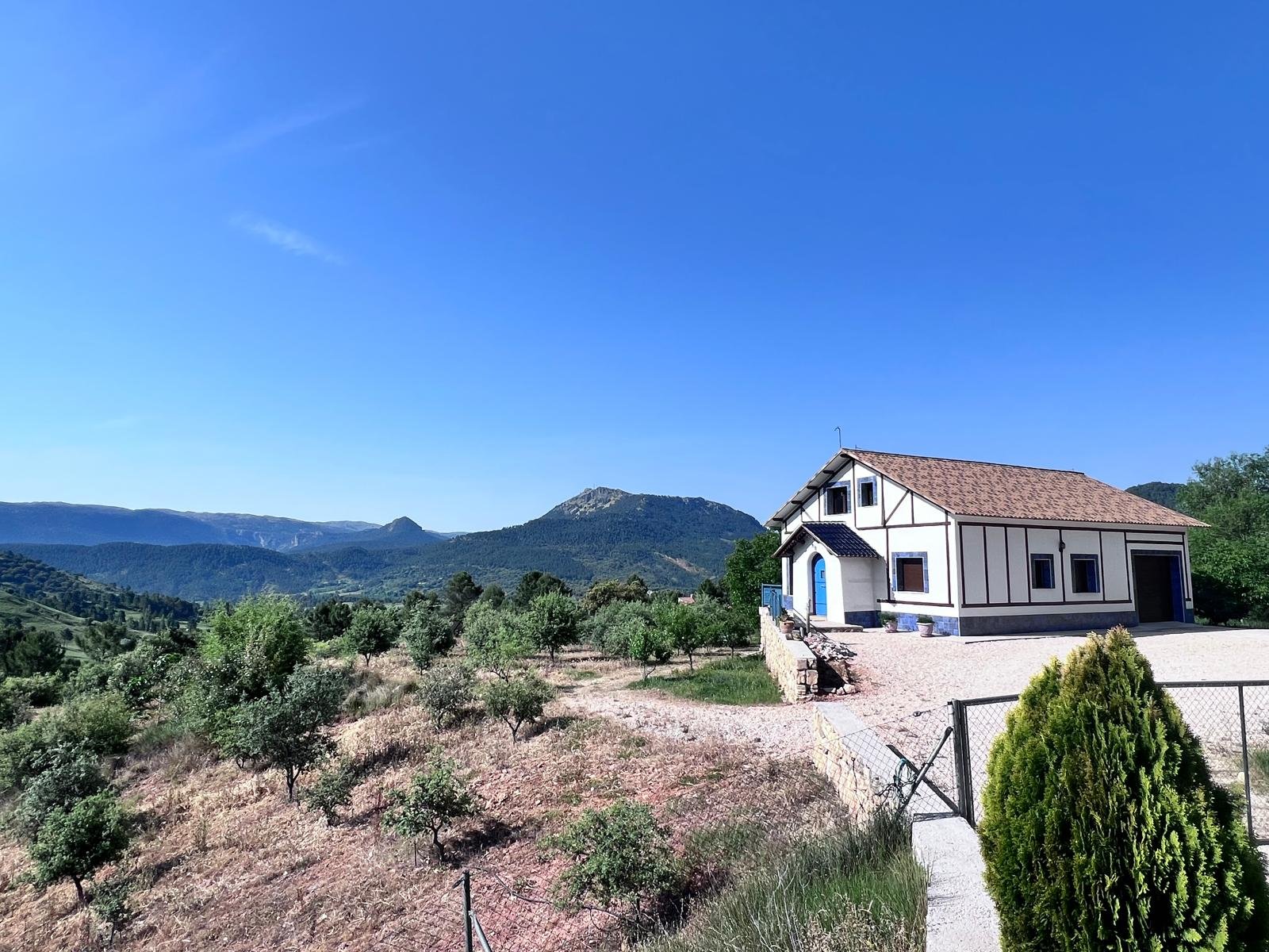 Bosque de encinas truferas en la Sierra del Segura, Riópar, Albacete