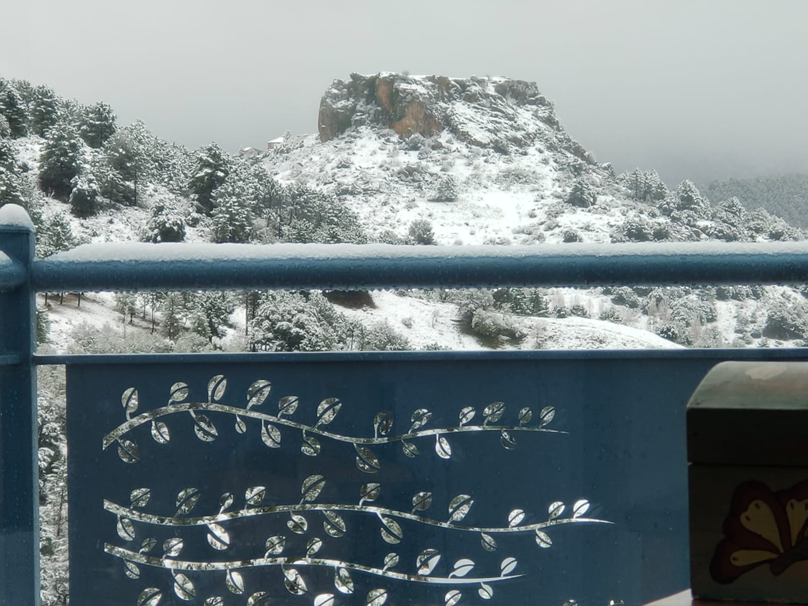 Nevada en Riópar Sierra del Segura durante temporada de trufa