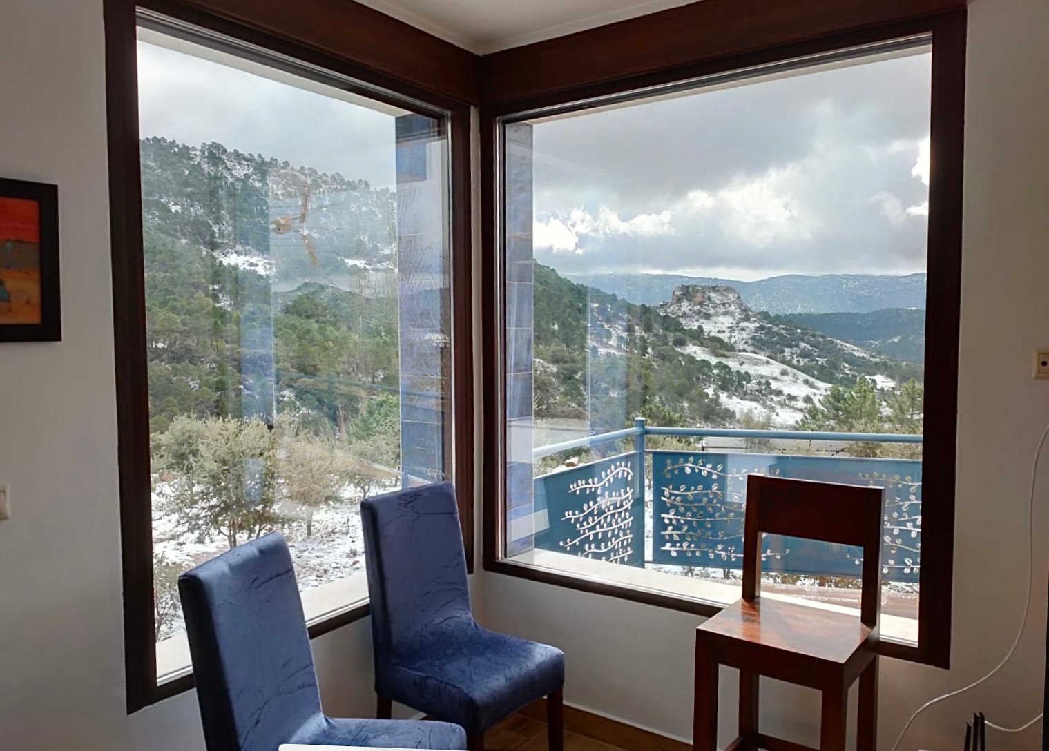 Recolección de trufa negra con perro trufero en Riópar