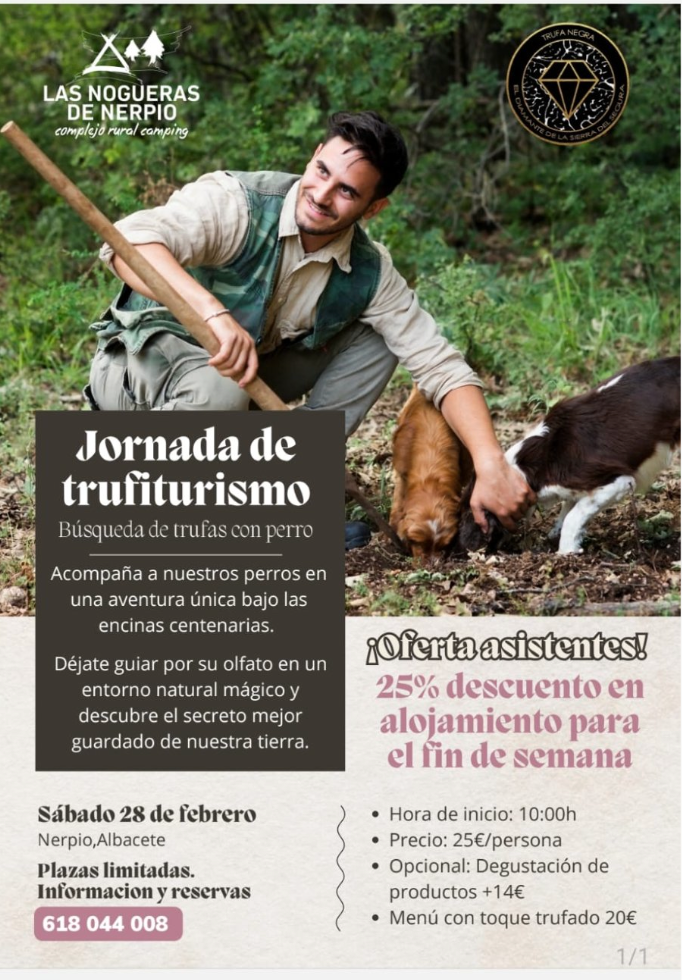 Trufa negra en la Sierra del Segura: la joya desconocida de Albacete — Blog Riópar Trufa Experience